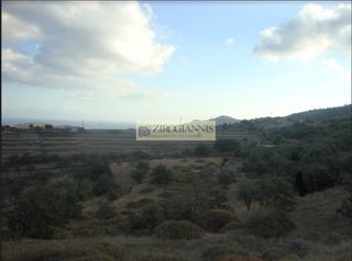 Οικόπεδο 18.000 τ.μ. για πώληση