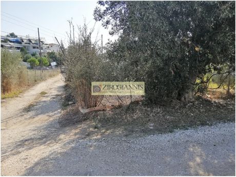 Οικόπεδο 300τ.μ. για πώληση-Ραφήνα