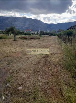 Land plot 800sqm for sale-Paiania