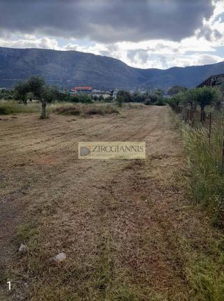 Οικόπεδο 800 τ.μ. για πώληση, Αθήνα - Ανατολικά Προάστια, Παιανία