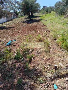 Οικόπεδο 285 τ.μ. για πώληση