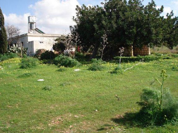 Οικόπεδο 8.000 τ.μ. για πώληση, Αμμόχωστος, Σωτήρα