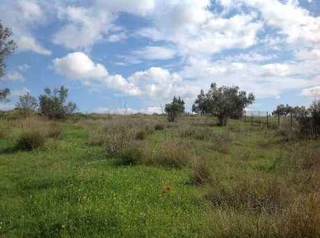 Οικόπεδο 6.000τ.μ. για πώληση-Σπάτα