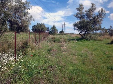 Οικόπεδο 6.000τ.μ. για πώληση-Σπάτα