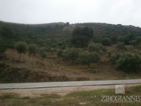 Αγροτεμάχια 2.000τ.μ. για πώληση-Μαραθώνας