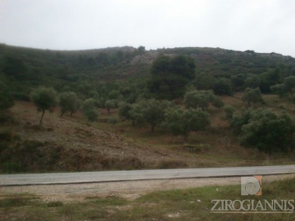 Αγροτεμάχια 2.000 τ.μ. για πώληση, Αθήνα - Ανατολικά Προάστια, Μαραθώνας