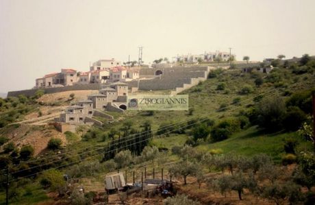 Αγροτεμάχια 12.000τ.μ. για πώληση-Βόρεια κυνουρία
