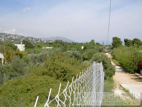 Οικόπεδο 251τ.μ. για πώληση-Ραφήνα