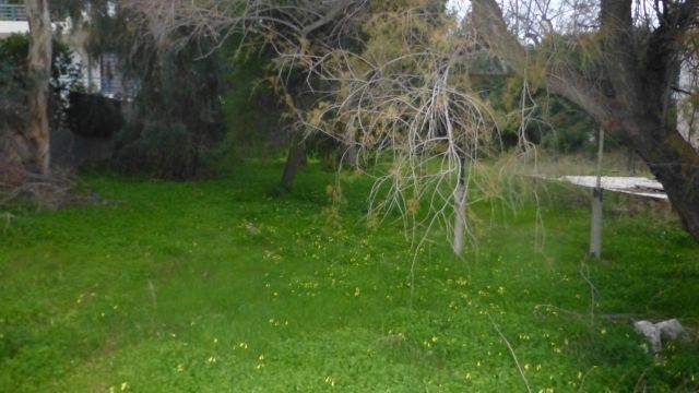 Οικόπεδο 3.500 τ.μ. για πώληση, Αθήνα - Ανατολικά Προάστια, Παλλήνη