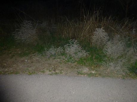 Οικόπεδο 269τ.μ. για πώληση-Παλλήνη