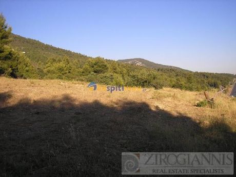 Οικόπεδο 5.180τ.μ. για πώληση-Κ. μαλακάσας