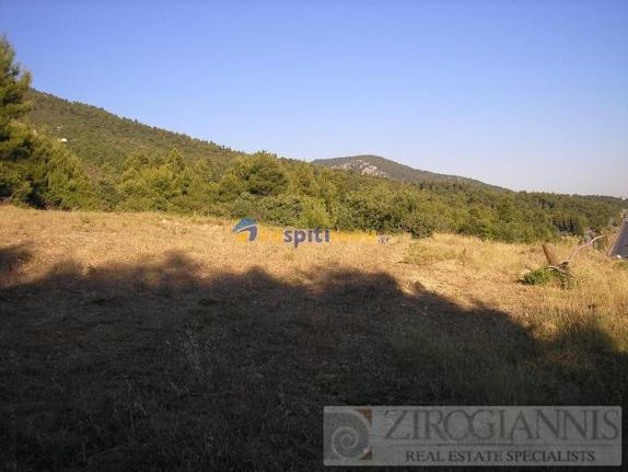 Land plot 5.180 sqm for sale, Rest Of Attica, Com. Malakasa