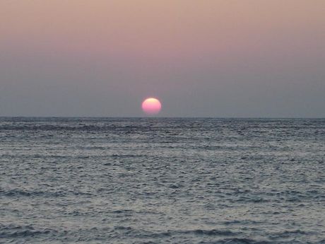 Οικόπεδο 1.040τ.μ. για πώληση-Μαραθώνας