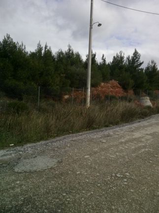 Αγροτεμάχια 4.800 τ.μ. για πώληση, Αθήνα - Βόρεια Προάστια, Πεντέλη