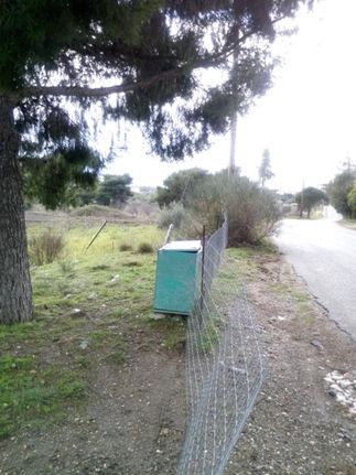 Αγροτεμάχια 4.800 τ.μ. για πώληση, Αθήνα - Βόρεια Προάστια, Πεντέλη