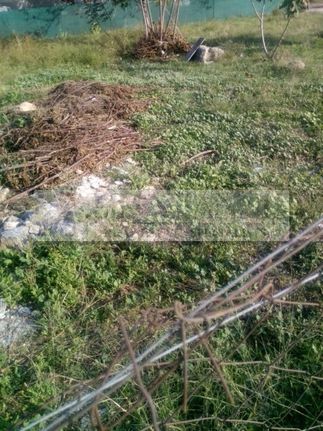 Οικόπεδο 680 τ.μ. για πώληση, Αθήνα - Ανατολικά Προάστια, Σπάτα