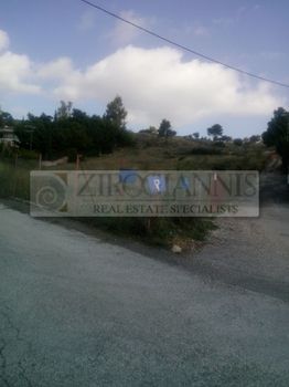 Οικόπεδο 4.500τ.μ. για πώληση-Παλλήνη