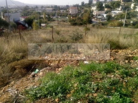 Οικόπεδο 4.500τ.μ. για πώληση-Παλλήνη