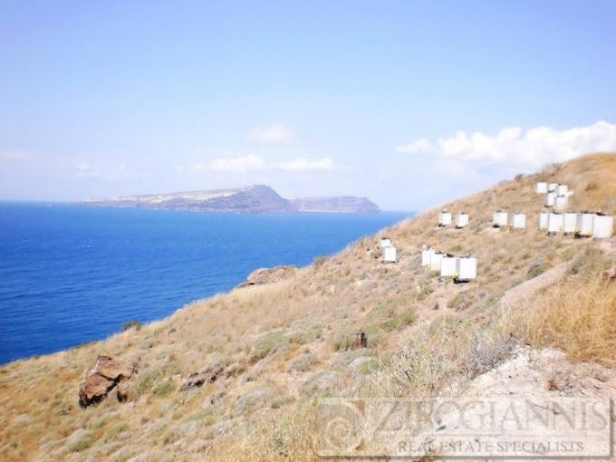 Αγροτεμάχια 4.150 τ.μ. προς πώληση, Αετός Καρύστου