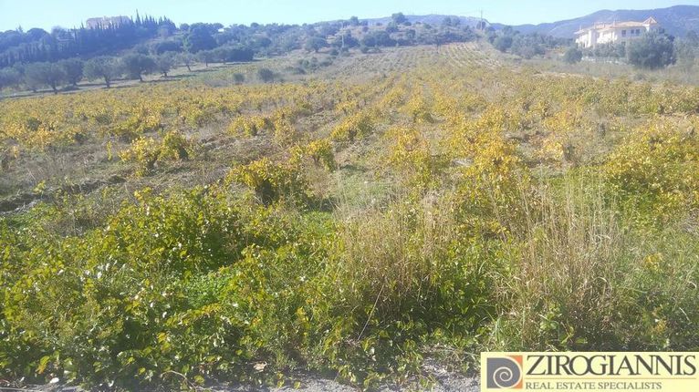 Parcel 18.000 sqm for sale, Athens - East, Paiania