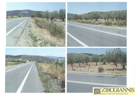 Αγροτεμάχια 12.500τ.μ. για πώληση-Ερμιόνη