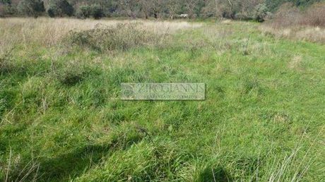Οικόπεδο 2.500τ.μ. για πώληση-Μαραθώνας