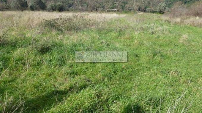 Land plot 2.500 sqm for sale, Athens - East, Marathonas