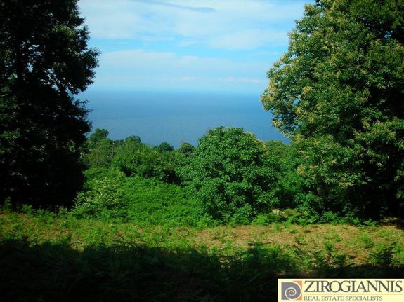 Land plot 4.500 sqm for sale, Magnesia, Mouresi