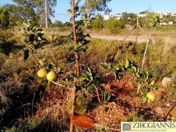 Land plot 354 sqm for sale, Athens - East, Anthoisa