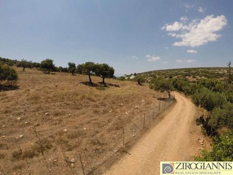 Αγροτεμάχια 4.000τ.μ. για πώληση-Ερμιόνη