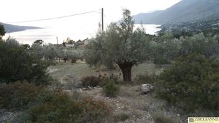 Αγροτεμάχια 3.200 τ.μ. για πώληση