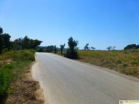 Αγροτεμάχια 9.000τ.μ. για πώληση-Ραφήνα
