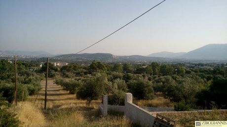 Οικόπεδο 200τ.μ. για πώληση-Παλλήνη
