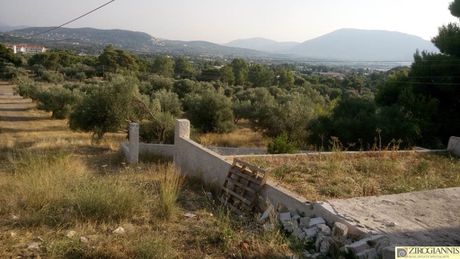 Οικόπεδο 200τ.μ. για πώληση-Παλλήνη