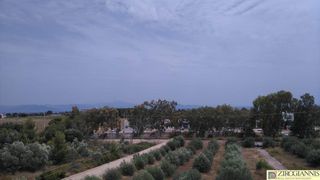 Οικόπεδο 4.500 τ.μ. για πώληση