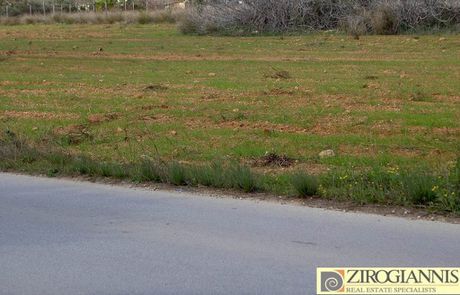 Αγροτεμάχια 5.750τ.μ. για πώληση-Ραφήνα