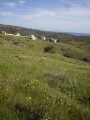 Αγροτεμάχια 11.000 τ.μ. για πώληση