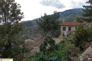 Μονοκατοικία 200 τ.μ. για πώληση, Ν. Λασιθίου, Ιεράπετρα-thumb-14