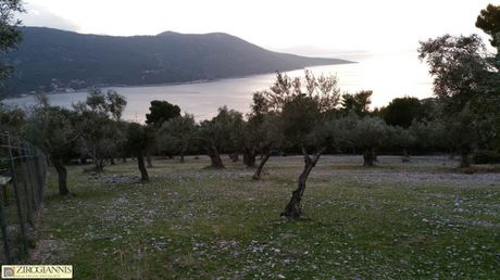 Οικόπεδο 4.900τ.μ. για πώληση-Βίλια