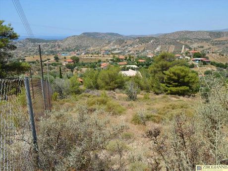 Οικόπεδο 8.000τ.μ. για πώληση-Καλύβια θορικού