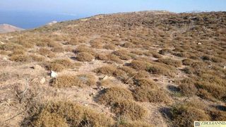 Οικόπεδο 84.000 τ.μ. πρός πώληση, Κυκλάδες, Ανάφη-thumb-1