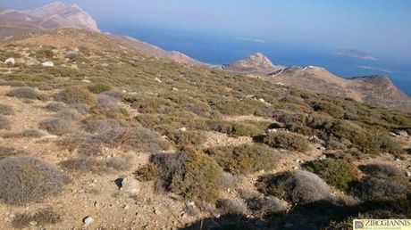 Land plot 84.000sqm for sale-Anafi