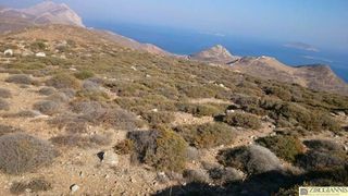 Οικόπεδο 84.000 τ.μ. για πώληση