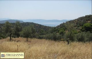 Οικόπεδο 32.000 τ.μ. για πώληση, Αργολίδα, Ερμιόνη-thumb-1