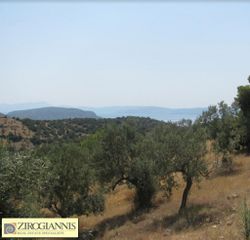 Οικόπεδο 32.000 τ.μ. για πώληση, Αργολίδα, Ερμιόνη-thumb-4