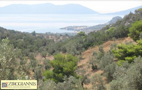 Οικόπεδο 32.000τ.μ. για πώληση-Ερμιόνη