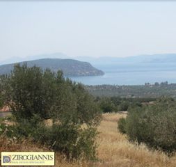 Οικόπεδο 32.000 τ.μ. για πώληση, Αργολίδα, Ερμιόνη-thumb-2