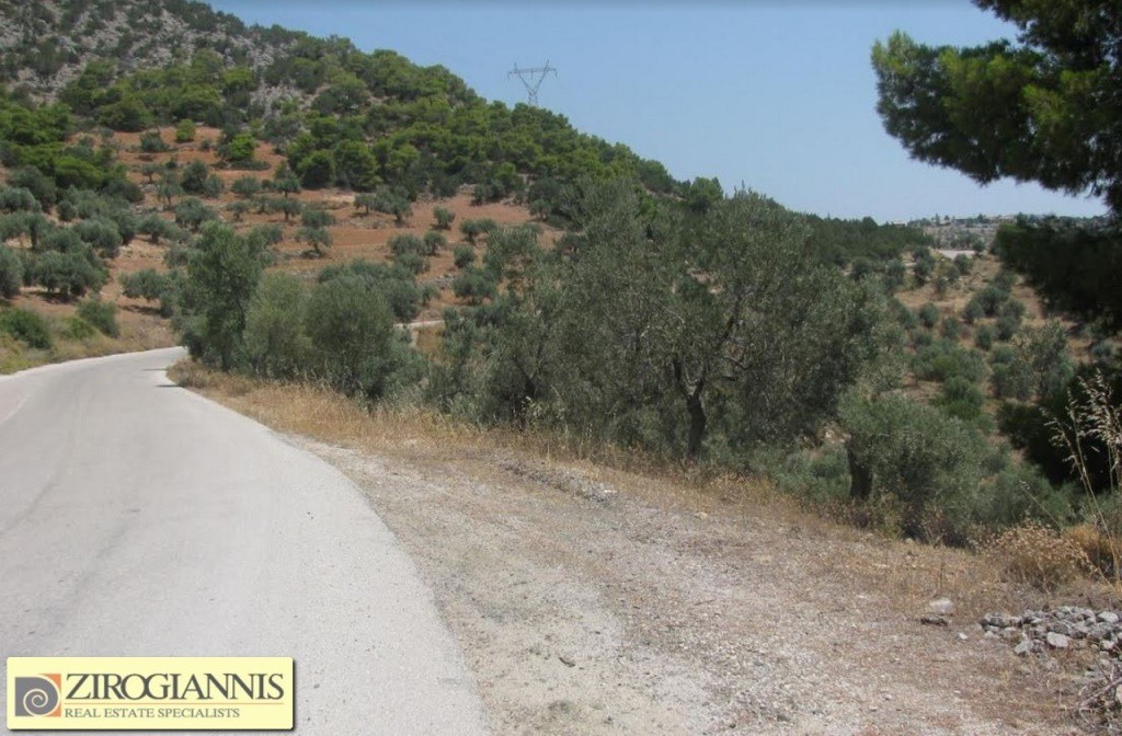 Οικόπεδο 32.000 τ.μ. προς πώληση, Ερμιόνη