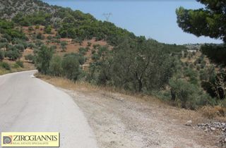 Οικόπεδο 32.000 τ.μ. για πώληση, Αργολίδα, Ερμιόνη-thumb-5