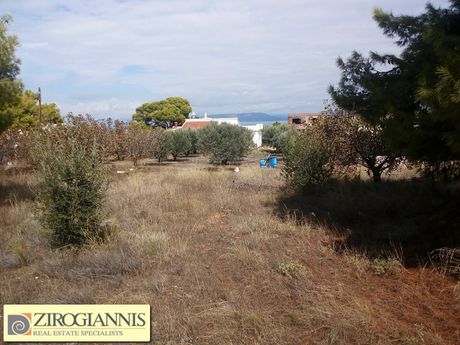 Αγροτεμάχια 2.800τ.μ. για πώληση-Αίγινα